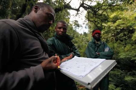 Rwandan men consulting map