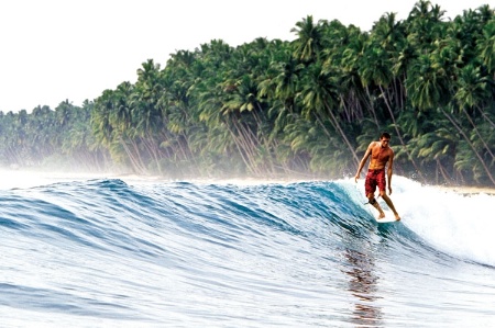 Sam Bleakley surfing alongside palm trees