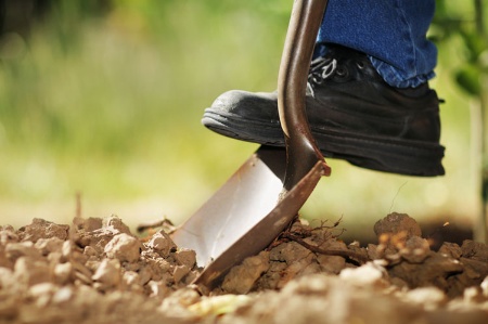 Person digging in earth with shovel