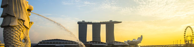 http://www.timeshighereducation.co.uk/Pictures/web/n/l/u/singaporean-merlion-and-skyline.jpg
