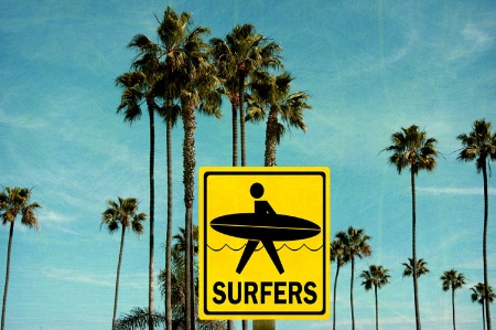 'Surfers' sign in front of palm trees