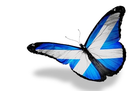 Butterfly with Scottish flag on wings