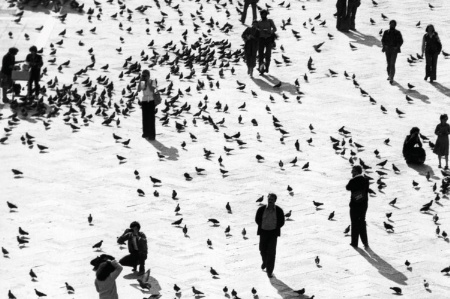 People and birds