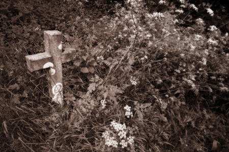 Overgrown weeds on grave