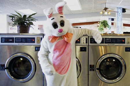 Person dressed as rabbit in launderette